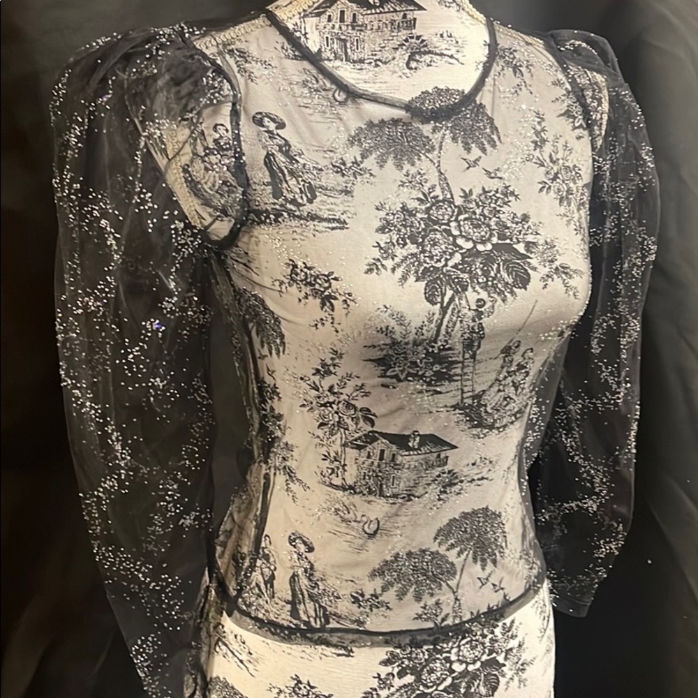 Sheer top poof shoulder
